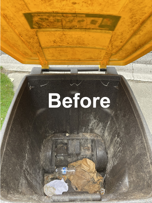 Before Trash Can Wash