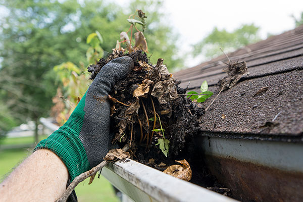 Gutter cleaning